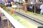 Einschnitt mit Zug Blick Richtung Feuerbach, 176.9 KByte