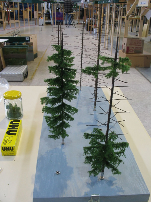 b081-baum_002