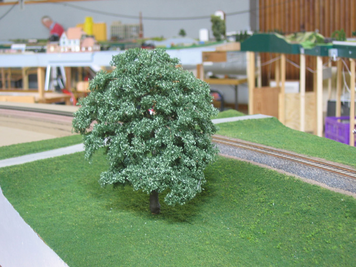 b084-baum_005