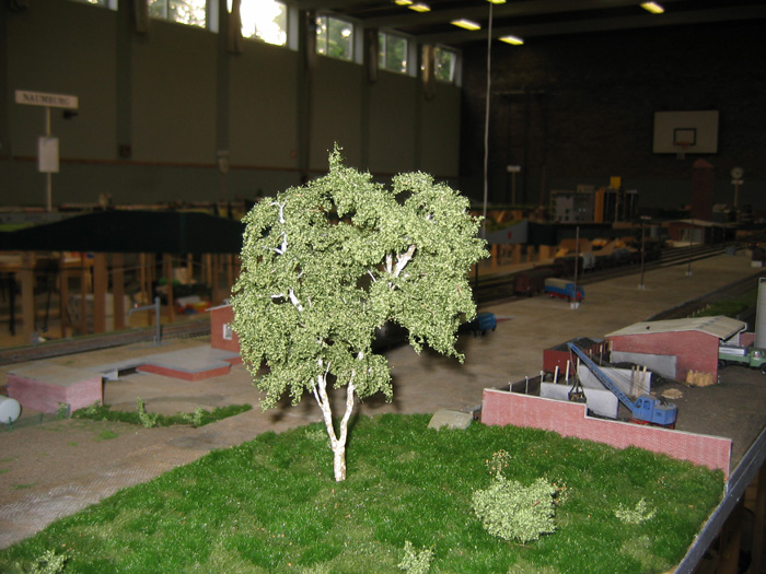 b085-baum_006