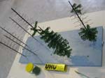 b080-baum_001