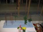 b082-baum_003